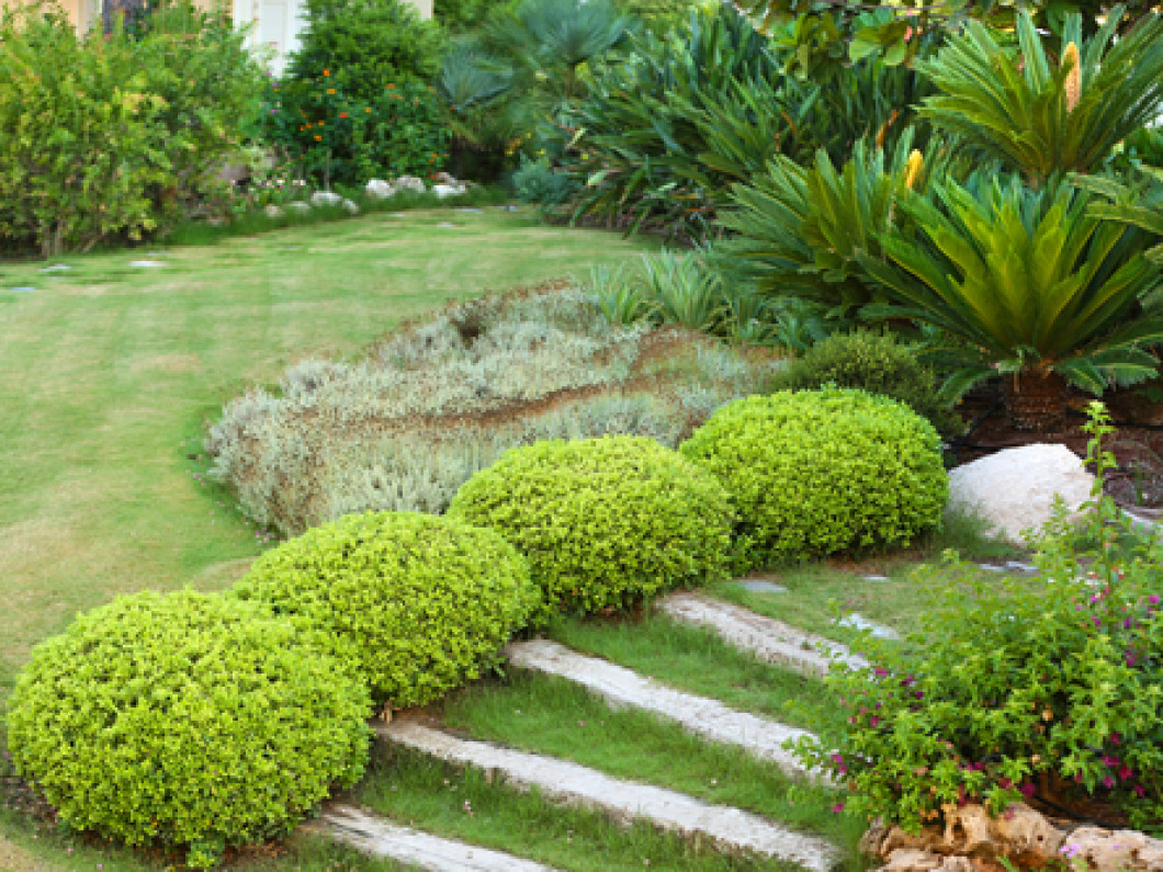 Residential Landscaping Company El Paso, TX SP & LC Landscape